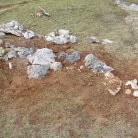 登山道の修復や植生回復に