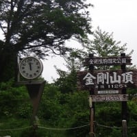 久し振りに金剛山に登った３