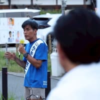 天草遊説