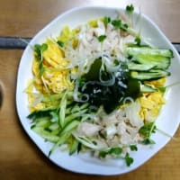 ７/１　ひるごはん　冷やし中華