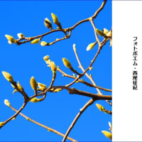 心をはげます