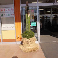 市内八坂神社に参拝しました。