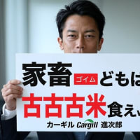 【拡散希望】元警察官「八王子警察は出頭した瞬間に深田萌絵を逮捕する」罪状は内乱罪