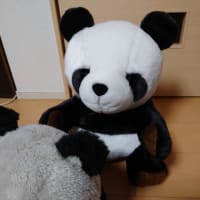 新しいご家族だってさ٩(๑òωó๑)۶