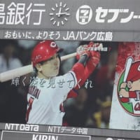 カープ観戦　6/22(25)