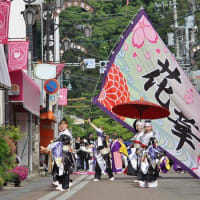 第22回常陸国YOSAKOI祭り-6