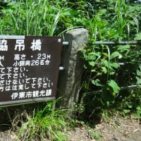 2016年7月22日　金曜日　城ケ崎海岸