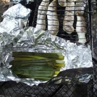 夏の九条ネギ、炭火焼が甘い、冬のヤーコンに匹敵　フラクトオリゴ糖(2025/7/7)