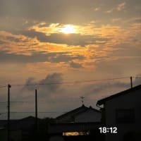 7月6日日曜日　