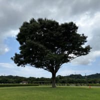 空の写真ばかり撮っていた日