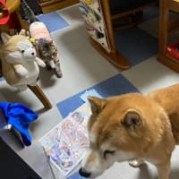 お、おいらのせいか？