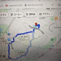 快晴日和の5月2日 高町池まで