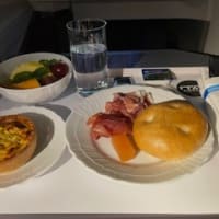 2025初夏のイタリア旅行（２）羽田→ローマ