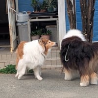 18ジャスミンキッズ　お誕生会　後編