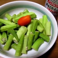 お屋敷を上空から