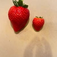 寒いの？暖かいの？？