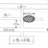 令和7年　今年もホタルの時期になりました