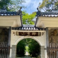 満願寺まで吹かれて｡｡