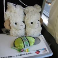 あまりに久し振り