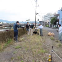網掛川護岸草取りボランティア（2025/6/21）・・・網掛川旧護岸を護り活かす会