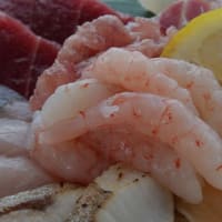 新潟県糸魚川市の戸倉山（975.5m）登山（2）。【山頂からの眺望、しろ池景色、親不知「漁火」の海鮮丼】
