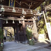寅のお寺　信貴山朝護孫子寺