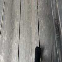 森林浴