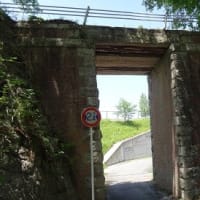 １０年ぶりの大仏鉄道４