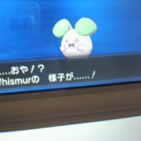 いろちがい ドゴーム バクオング やま うみ