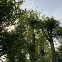 4月３０日（水）練習風景