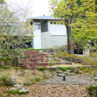 大宰府市の散策記　on　2025-4-9＆4-10　その14　宝満宮　竈門神社
