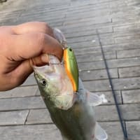 陽澄湖へサイクリング