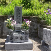 みなみの梅やん介護日誌　/ 梅やんの3回忌