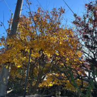年末年始お休みのお知らせ