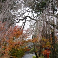 京都市西京区　正方寺