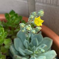 もうすぐ