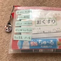 区民講座「ペット同行避難と犬・猫の防災」開催しました