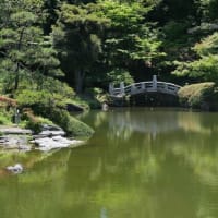 初夏の両国散歩part3　～旧安田庭園～