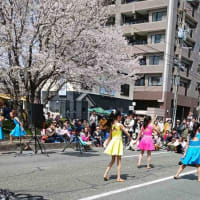 健軍自衛隊通り「桜まつり」