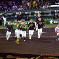 阪神タイガース。甲子園での巨人戦連勝！