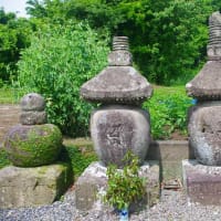森稲妻神社の御神木と森殿原の宝塔