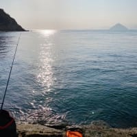 釣り始め🎣
