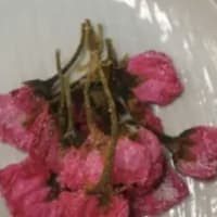 お初桜の塩漬け🌸
