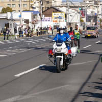 第７５回香川丸亀国際ハーフマラソン