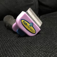 ブラッシング