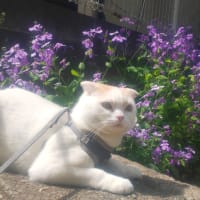 一休み！