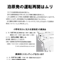 逆流性食道炎の薬「タケキャブ」その2