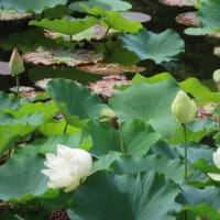 滋賀県立陶芸の森