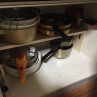 棚作りました！