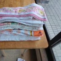 雨の花壇の花＆雑巾を縫う